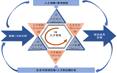 驅(qū)動業(yè)務發(fā)展的人才管理體系構(gòu)建