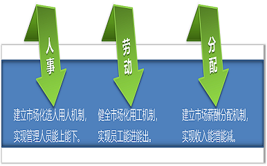 【國企改革】國企三項制度改革